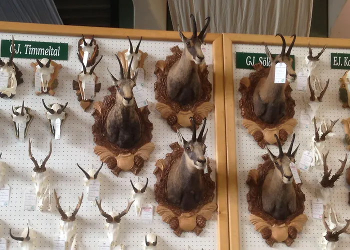 Appartementhaus Sieglinde Апартаменты Зёльден