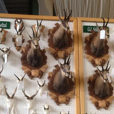 Appartementhaus Sieglinde Apartamento Sölden